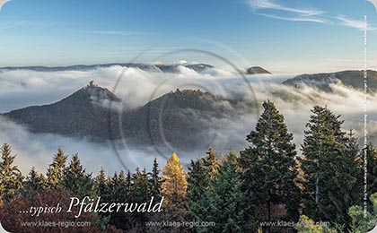 Fruehstuecksbrettchen, Schneidebrettchen, Brettchen, Essbretchen, Geschenkartikel, Souvenir, Pfaelzerwald, Trifels