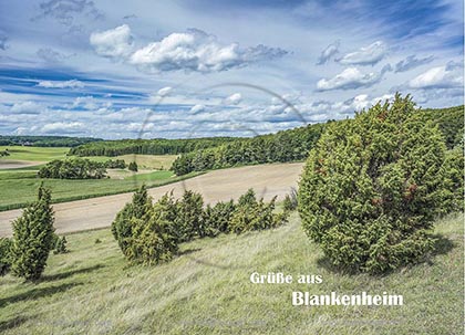 Postkarte, Ansichtskarte, Grusskarte, aktuell, neu, Standardformat, Blankenheim