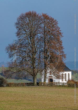 Postkarte, Ansichtskarte, Grusskarte, aktuell, neu, Standardformat, Losheim am See