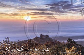 Magnet, Kuehlschrankmagnet, Fotomagnet, Geschenkartikel, Souvenir, Neustadt an der Weinstrasse